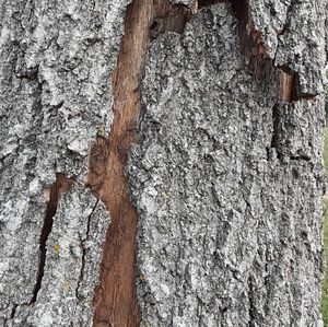 Meet your Posher, Carol